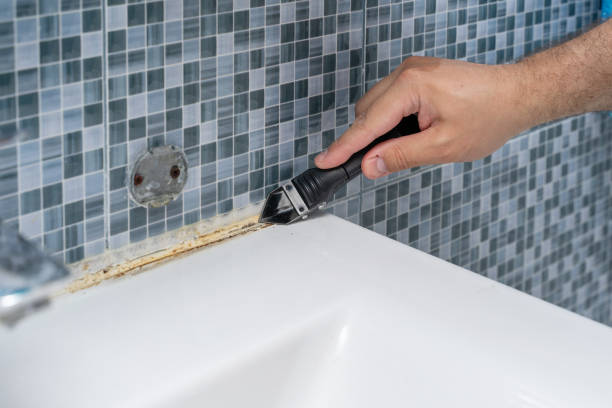 Mold Removal and Inspection in Lawrenceburg, TN